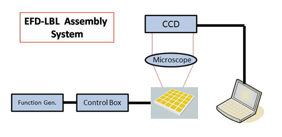 system